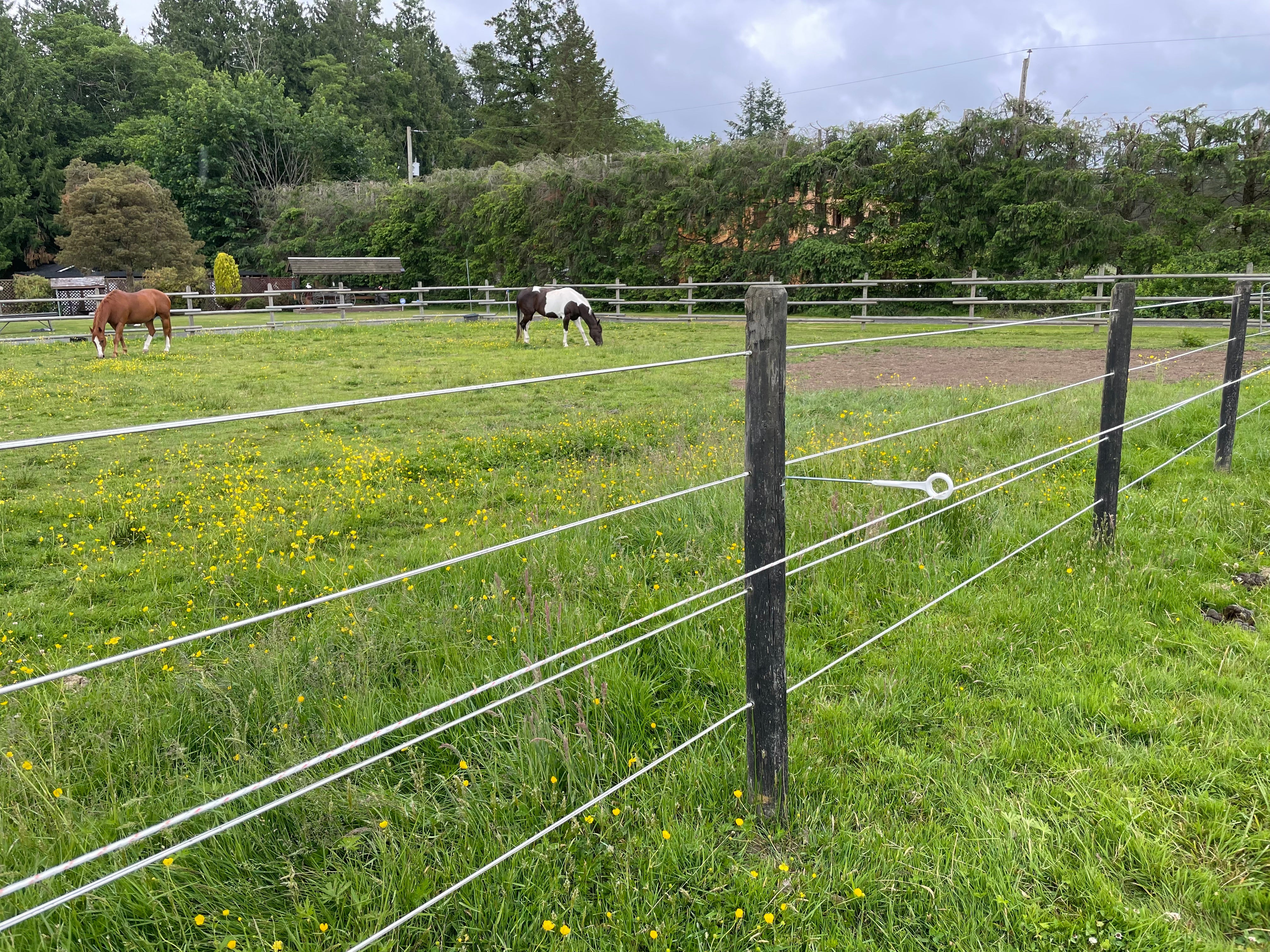 Electric Fence Tape - 40mm Wide X 400m Long Green Polytape For Horse Paddocks & Livestock