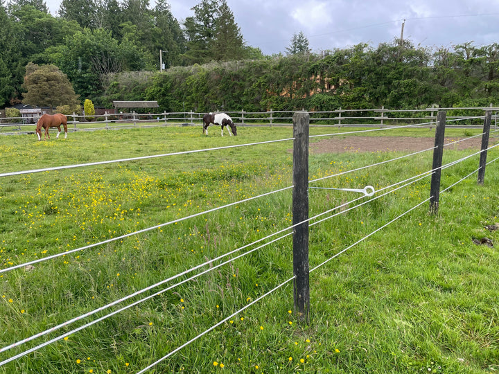 Equine Electric Fencing for horses