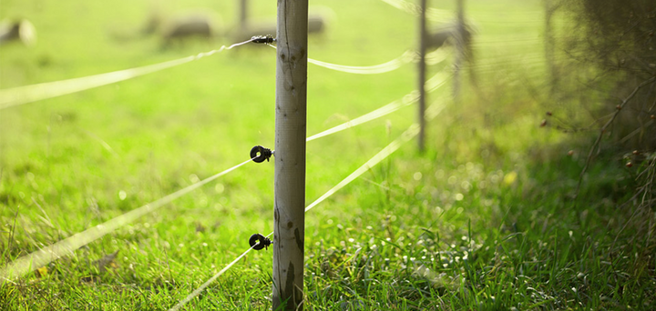 Can you use electric fence in a rainy climate?