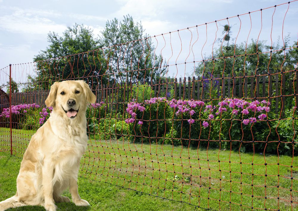 Corral Poultry Electric Netting Single Prong Orange 106cm X 50m