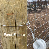 Porcelain U Strainer Insulator box of 10