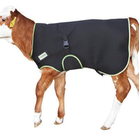 Calf Coat - Premium