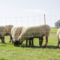 Corral Topline Sheep Net 0.9m high x 50m Long Double Prong Posts