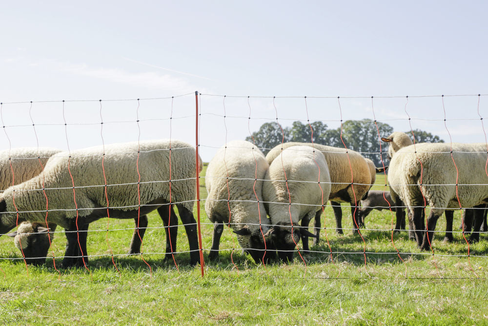 Corral Topline Sheep Net 0.9m high x 50m Long Double Prong Posts