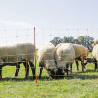 Corral Topline Sheep Net 0.9m high x 50m Long Double Prong Posts