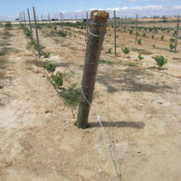 Gripple GPAK3- 5/bag