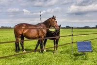 Gallagher S400 Portable Solar Fence Energizer Horse