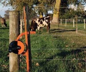 Gallagher smartfence keeping in cattle