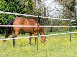 Insulated Line Post 40mm Tape Clip 20/pkg