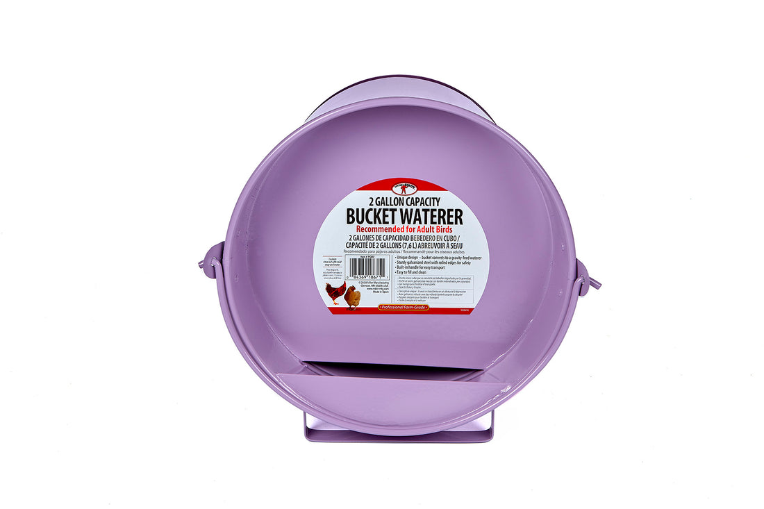 2 Gallon Bucket Waterer Pretty in Purple