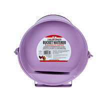 2 Gallon Bucket Waterer Pretty in Purple