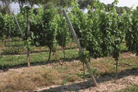 Gripple APEX Ground Anchors