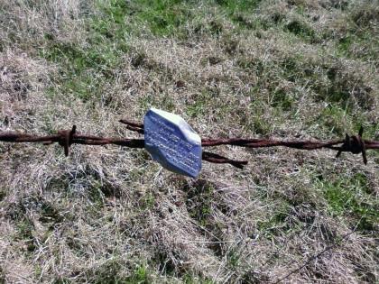 Gripple Barbed Wire