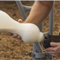 Bess Calf Nursing Bottle 4L with snap on Clear Teat