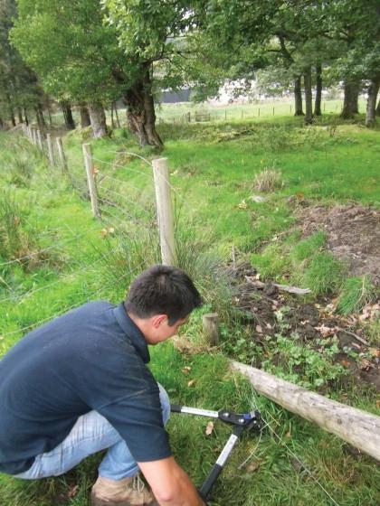 Gripple Contractor Tool