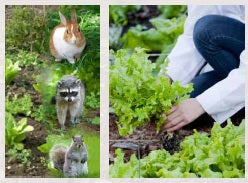 Patriot Pet and Garden Electric Fence Accesory Kit – FenceFast