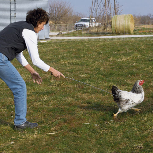 Poultry Catcher Hook – FenceFast Ltd.
