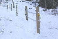 Gallagher Galvanized Spring Gate