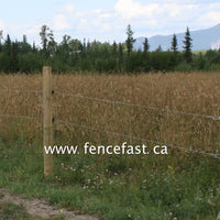 Gallagher Heavy Duty Tension Spring