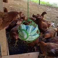 Chick-N-Veggie Ball