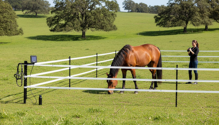 temporary horse fencing