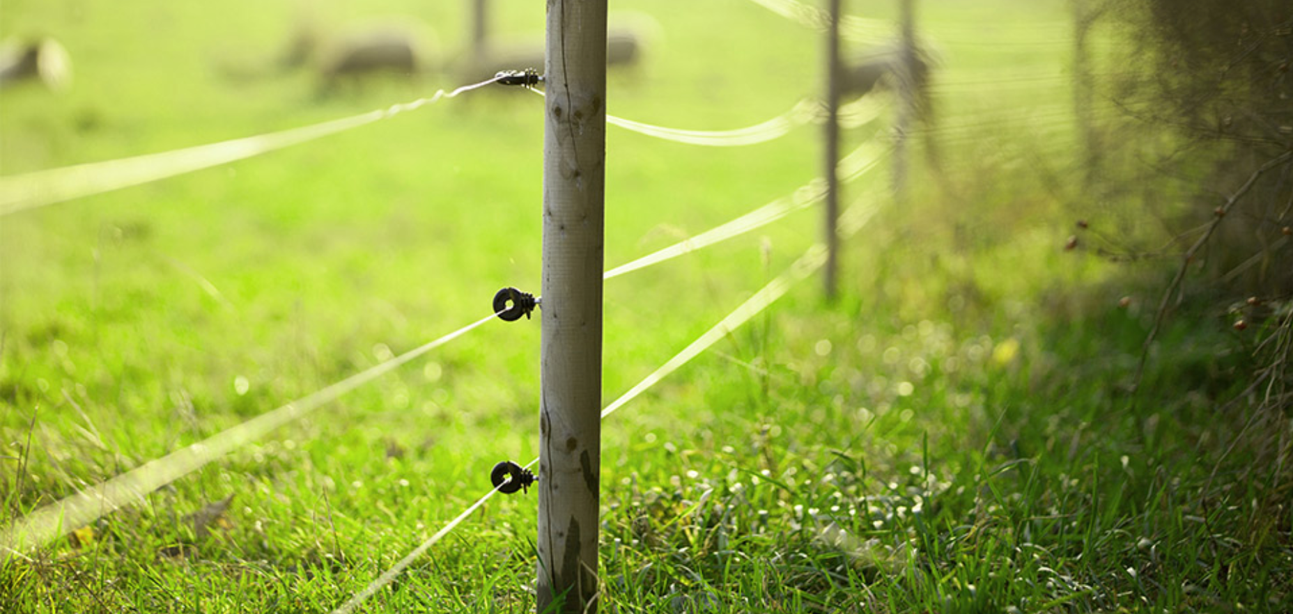 Can you use electric fence in a rainy climate? FenceFast Ltd.