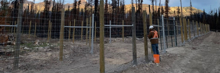 Wildlife Fencing: Protecting Property and People