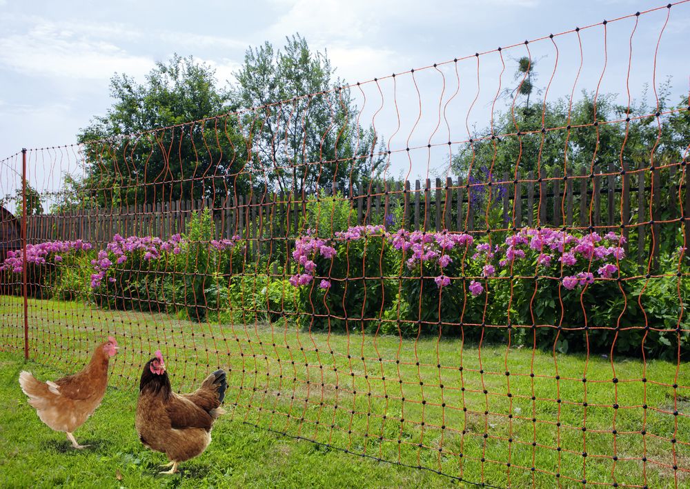 Corral Poultry Electric Netting Orange 1.12m X 50m