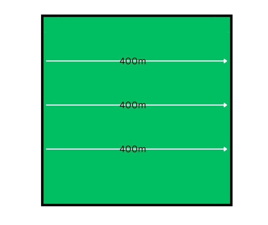 Gallagher Portable Cattle Grazing Fence Package
