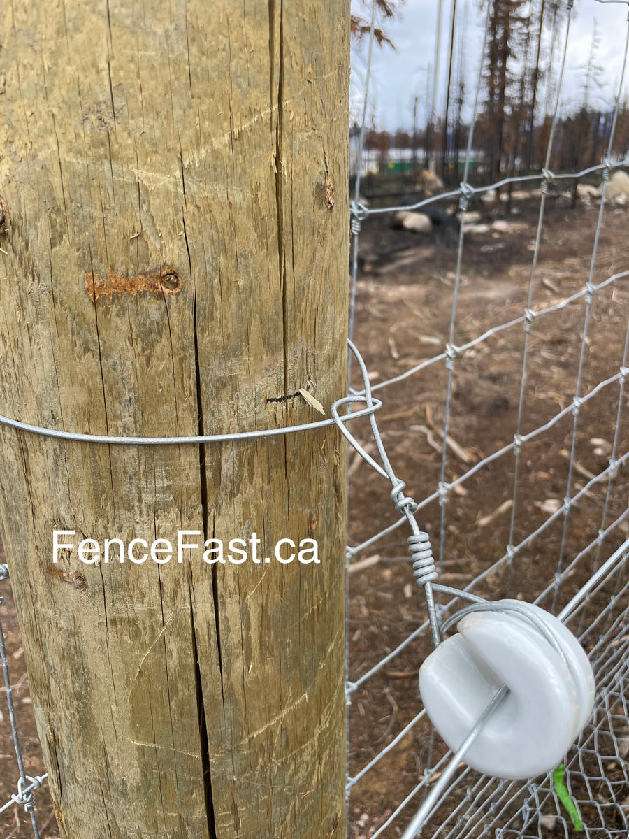 Porcelain U Strainer Insulator box of 10