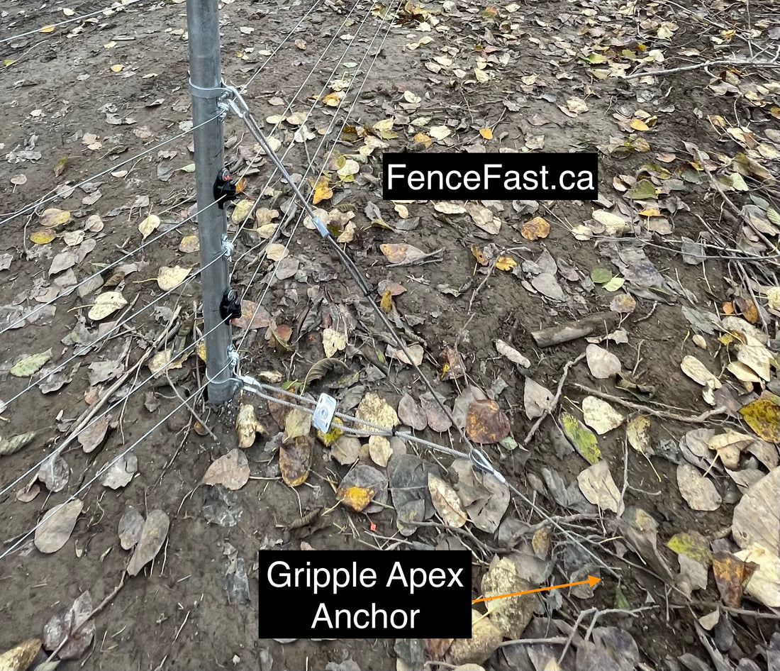 Gripple APEX Ground Anchors Fiber Tendon