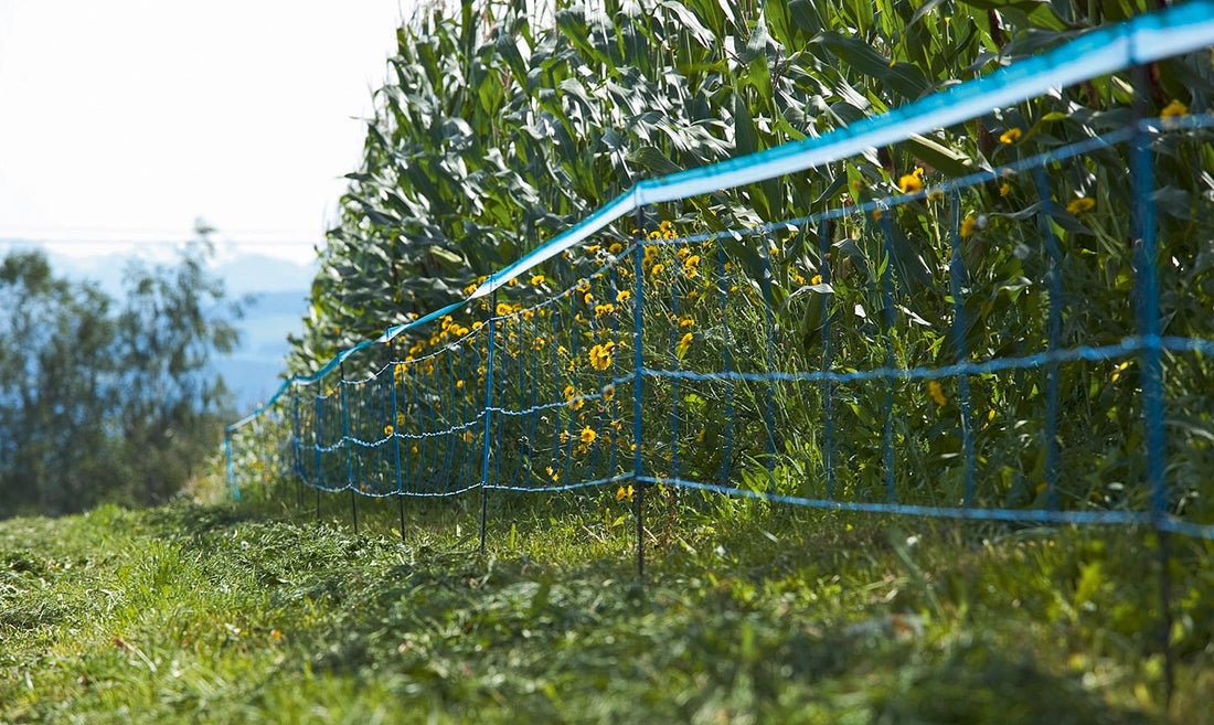 Netting Electric Fence AKO WildNet 73cm x 50m