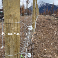 Porcelain U Strainer Insulator box of 10