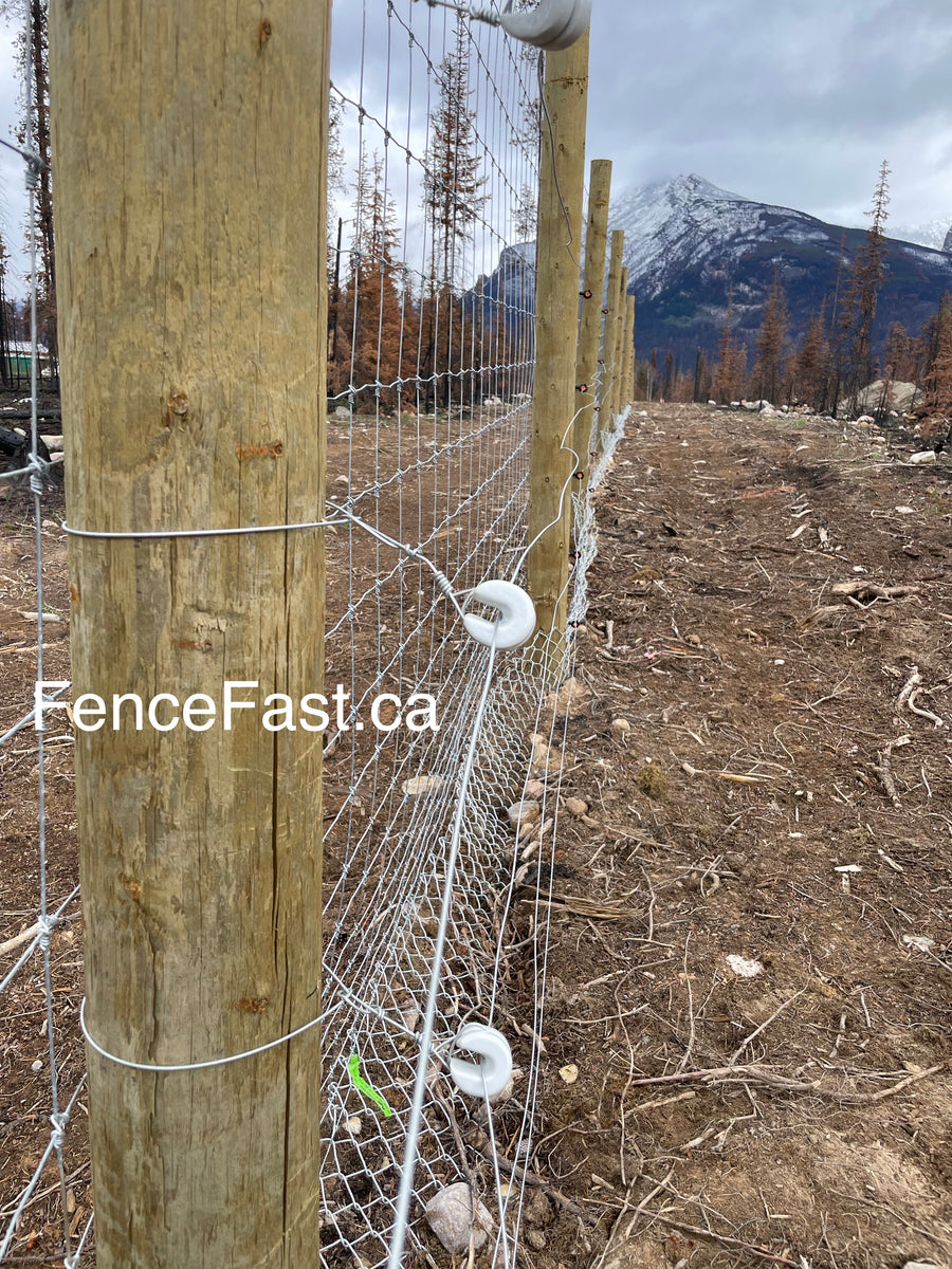 Porcelain U Strainer Insulator box of 10