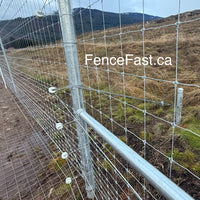 Porcelain U Strainer Insulator box of 10