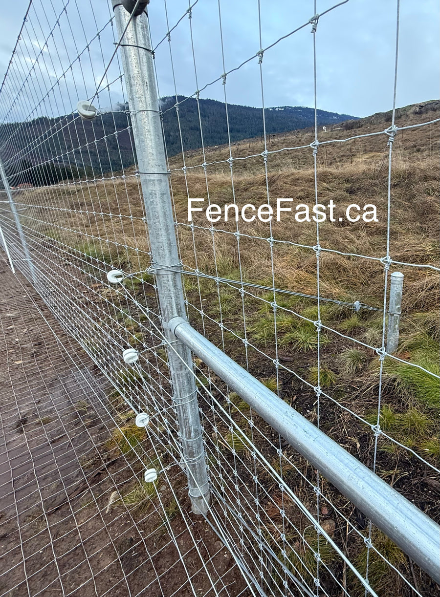 Porcelain U Strainer Insulator box of 10