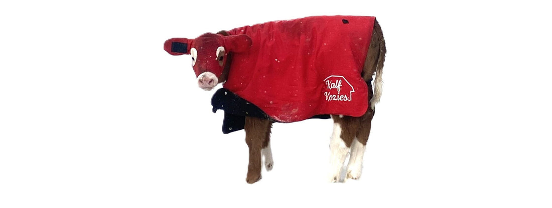 Kalf Kozies Blanket