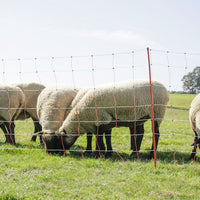 Corral Topline Sheep/Goat Net 1.08m high x 50m Long Double Prong Posts