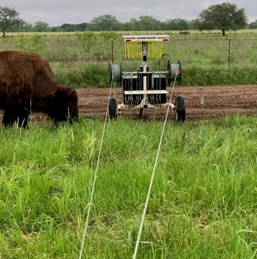 Bison Razer Grazer