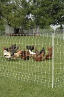 gallagher, poultry net, chicken net, portable fencing, electro net