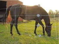 Gallagher Inline Wire Tightener Mesh and Horse