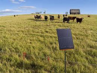 Gallagher Portable Solar Fence Energizer S200 Cattle