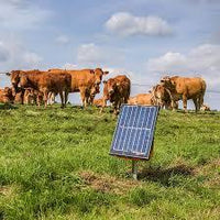 Gallagher Portable Solar Fence Energizer S200 Cows