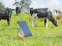 Gallagher Portable Solar Fence Energizer S200 Dairy