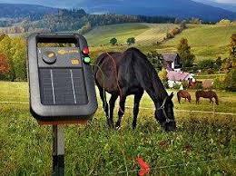 Gallagher S20 Portable Solar Fence Energizer Horses