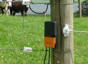 Gallagher i-Series Fence Monitor Cattle