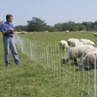 Installed sheep netting