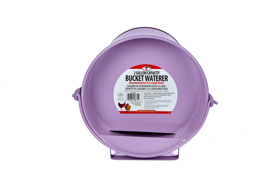 2 Gallon Bucket Waterer Pretty in Purple 