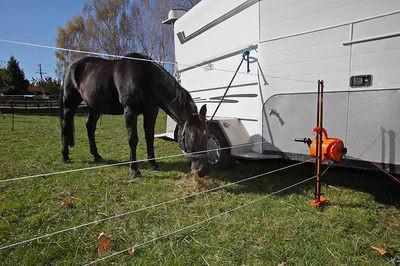 Gallagher smartfence used as a horse paddock