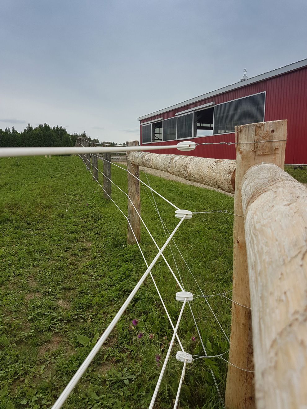 SHOCKLINE ELECTRIC COATED WIRE FLEX FENCE 1320'